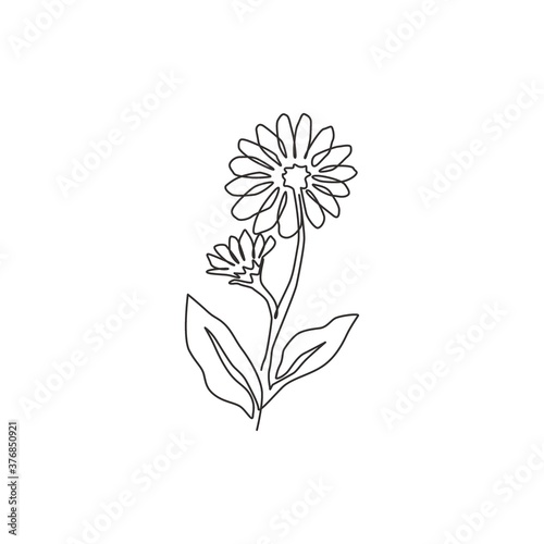One continuous line drawing of beauty fresh calendula for home decor wall art poster print. Printable decorative marigold flower concept. Modern single line draw design graphic vector illustration