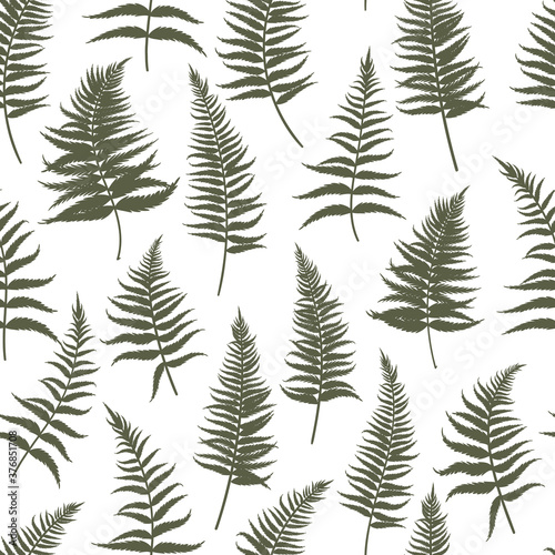 Seamless pattern  hand drawing  vintage style. Green ferns on a white background