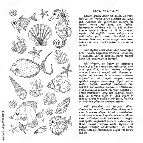Hand drawn card template with fish, sea shells and algae. Vector