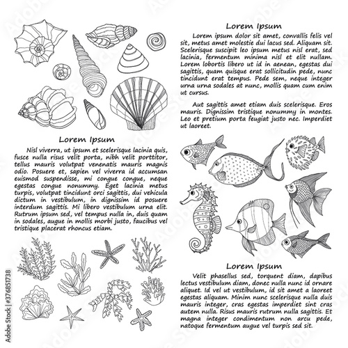 Hand drawn card template with fish, sea shells and algae. Vector