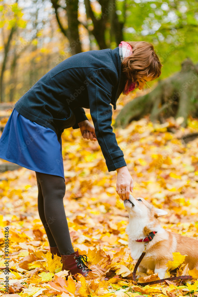 Happy girl playing with Corgi dog in sunny autumn park. Happy girl playing with Corgi dog in sunny autumn park.