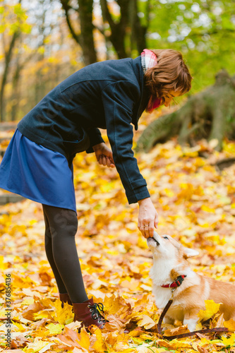 Happy girl playing with Corgi dog in sunny autumn park.