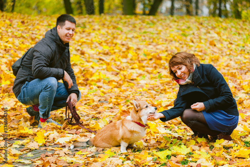 Happy couple playing with Corgi dog in sunny autumn park. Man and woman having fun outdoors with pet.