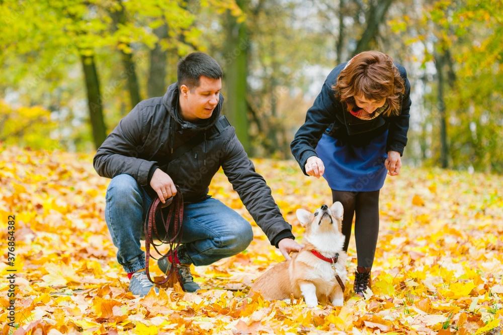 Happy couple playing with Corgi dog in sunny autumn park. Man and woman having fun outdoors with pet.