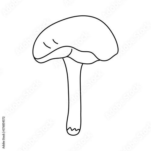 Yellow boletus mushroom in doodle style. Isolated outline. Hand drawn vector illustration in black ink on white background.