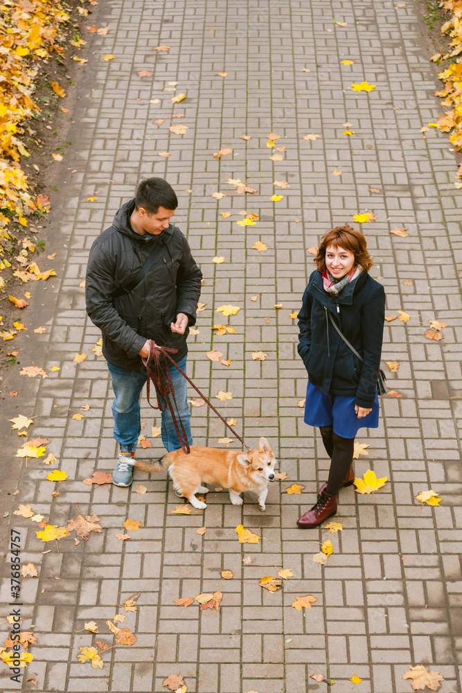 Happy couple playing with Corgi dog in sunny autumn park. Man and woman having fun outdoors with pet.