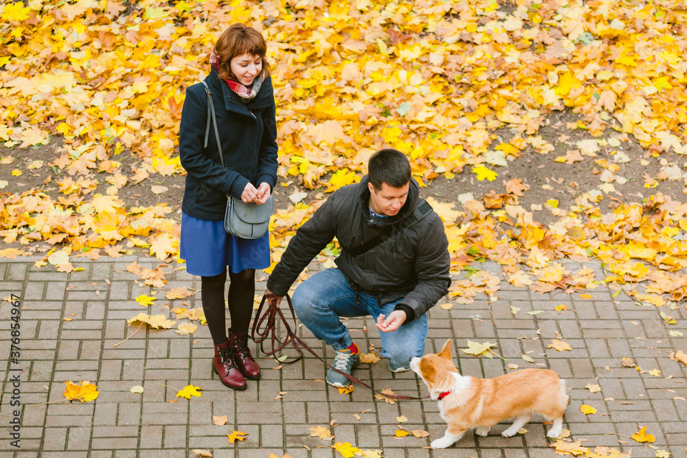 Happy couple playing with Corgi dog in sunny autumn park. Man and woman having fun outdoors with pet.