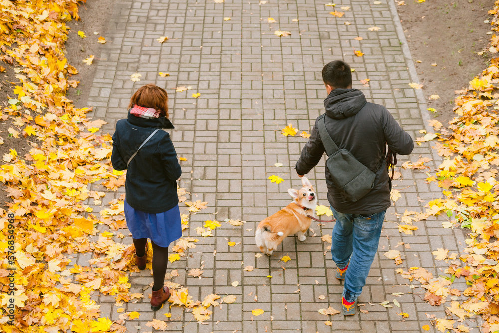 Happy couple playing with Corgi dog in sunny autumn park. Man and woman having fun outdoors with pet.