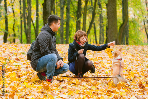 Obraz na płótnie Happy couple playing with Corgi dog in sunny autumn park. Man and woman having fun outdoors with pet. w salonie