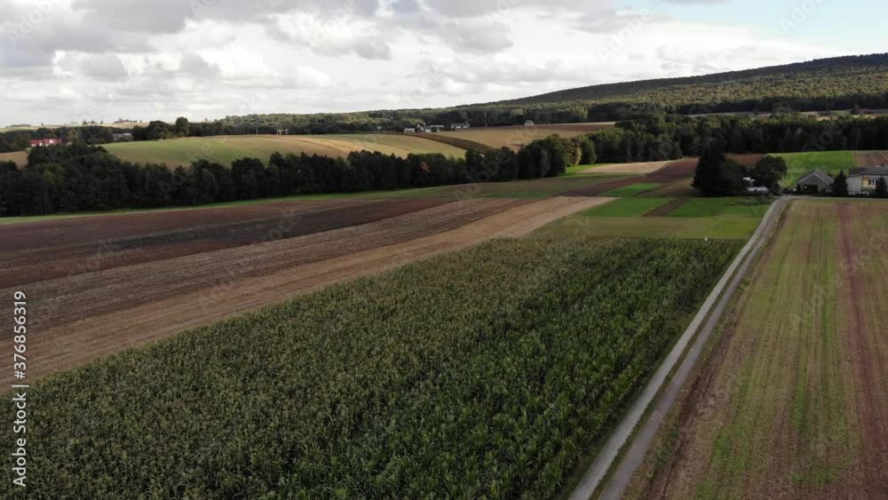 Arial view on Colorful fields.4K, UHD, Cinematic, Aerial footage. Arial view on Colorful fields.4K, UHD, Cinematic, Aerial footage.