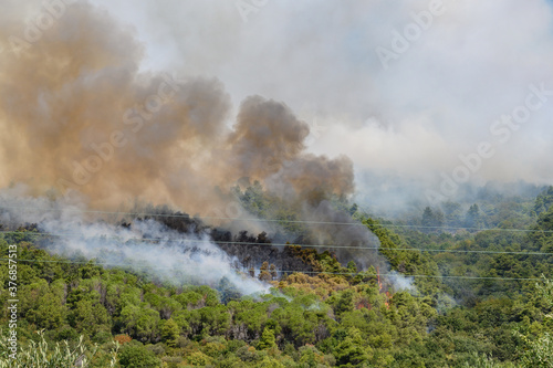 Mountain in south Italy burning, fire fighter trying to limit the spread of the flames.