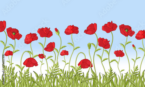 Red Poppies Field.Green field red poppies.Holiday greeting card. Hand drawing Vector illustration.