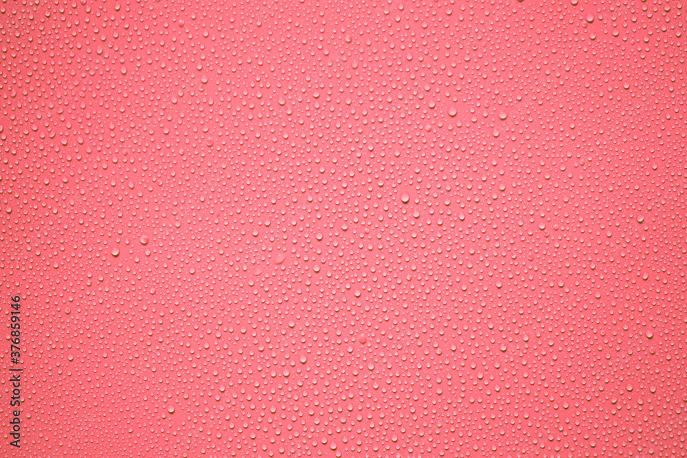 Fototapeta premium Water or rain drops on pink plastic sheet background