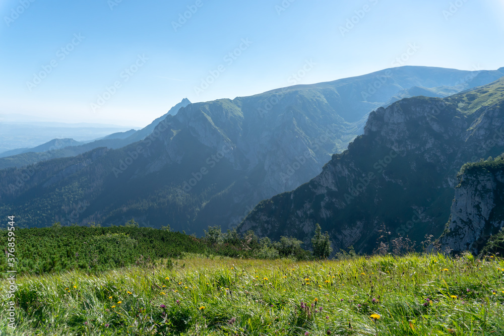 Panoramic view of the Polish Tatra peaks of the mountains during summer morning/noon.