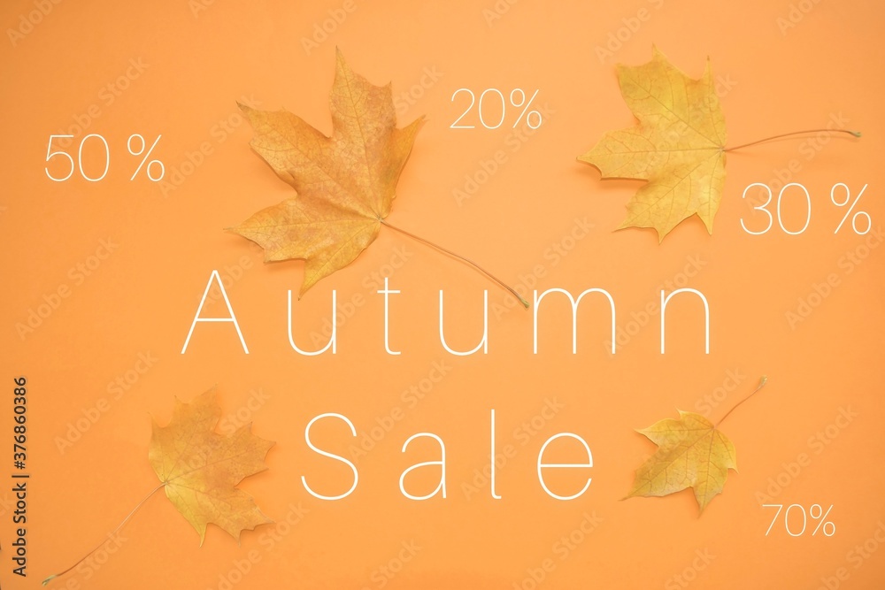 Fotografie Autumn sale background layout decorate with leaves for shopping or promo poster and frame flyer or web banner