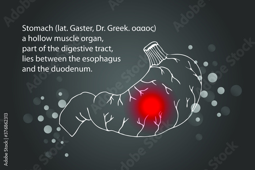 Stomach pain. Internal organ silhouette. Medical background. Health problem.