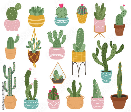 Potted cactus. Cute desert cactus, succulents and aloe in pots, tropical home plants, mexican prickly house potted plants vector illustration set. Different flowers for house or office
