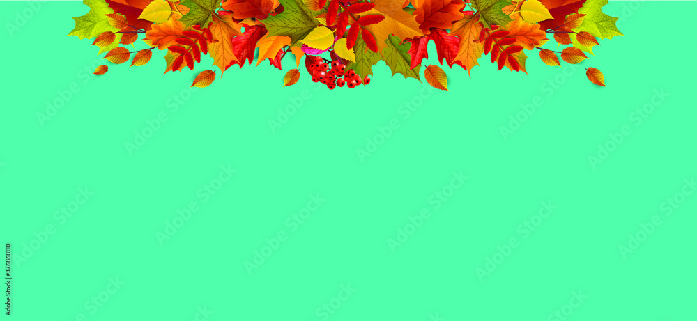 Greetings and gifts for the autumn and autumn season concept. Autumn background, poster and banner template with colorful autumn leaves. Greetings and gifts for the autumn and autumn season concept. Autumn background, poster and banner template with colorful autumn leaves.