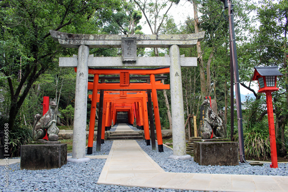 Entrance of torii gates at inari jinja of Suwa Shrine in Nagasaki. Entrance of torii gates at inari jinja of Suwa Shrine in Nagasaki.