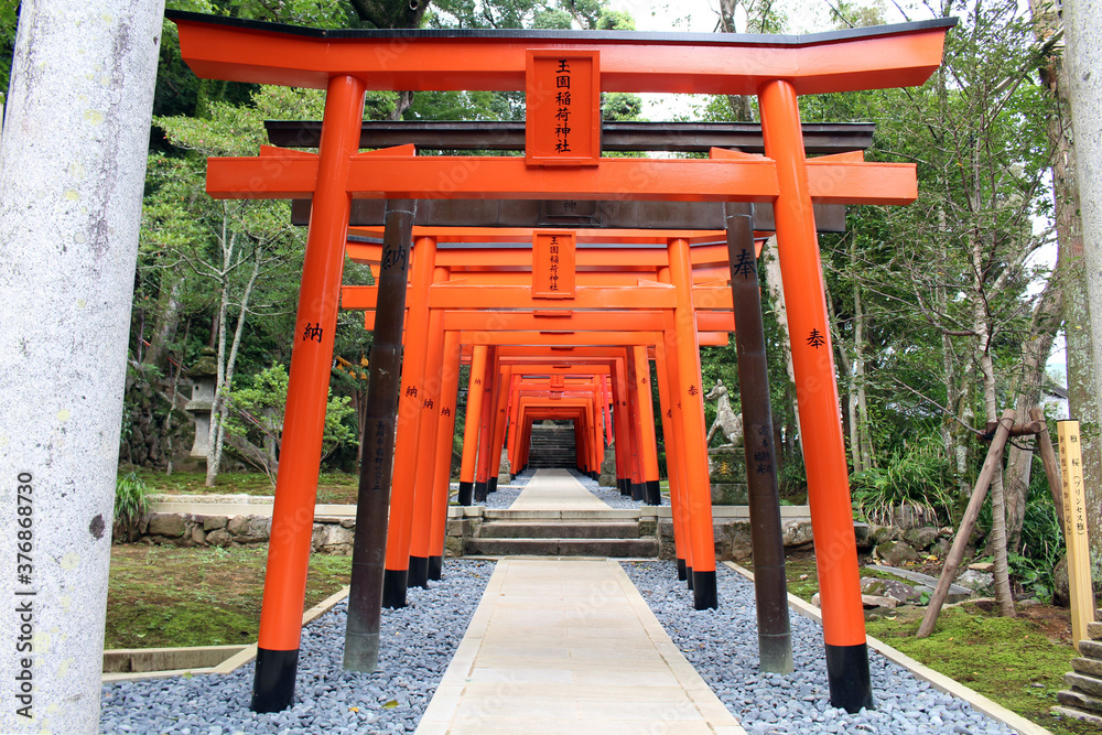 Line of orange torii gates at inari jinja of at Suwa Shrine in Nagasaki.