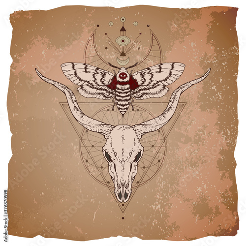 Vector illustration with hand drawn antelope skull, dead head moth and Sacred geometric symbol on vintage paper background with torn edges.