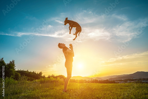 Fototapeta Naklejka Na Ścianę i Meble -  Silhouettes of runner and dog on field under golden sunset sky in evening time. Outdoor running. Athletic young man with his dog are running in nature. 