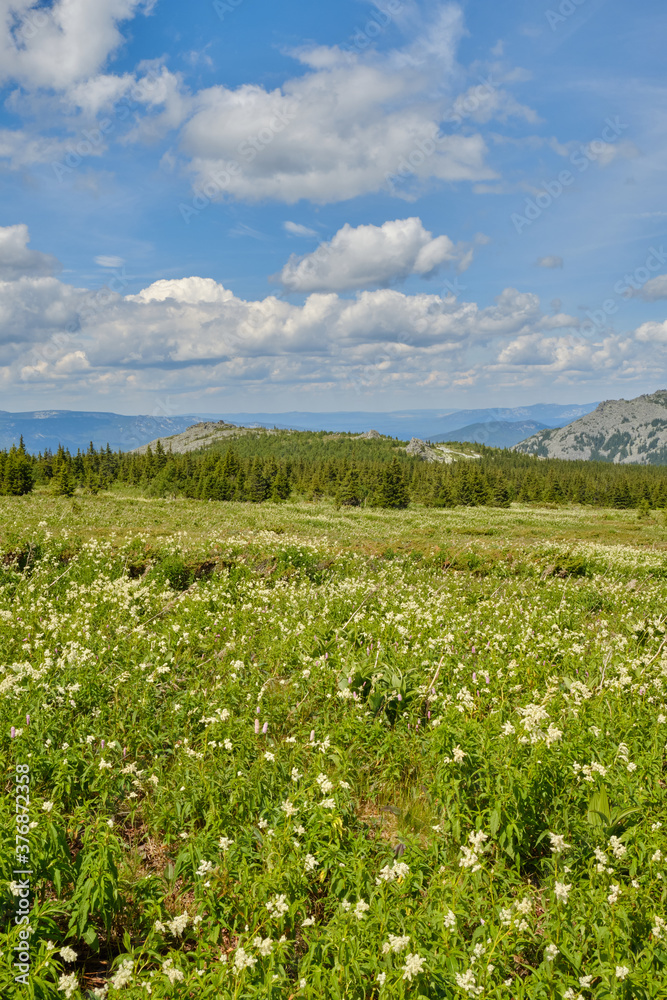 Obraz premium field and blue sky