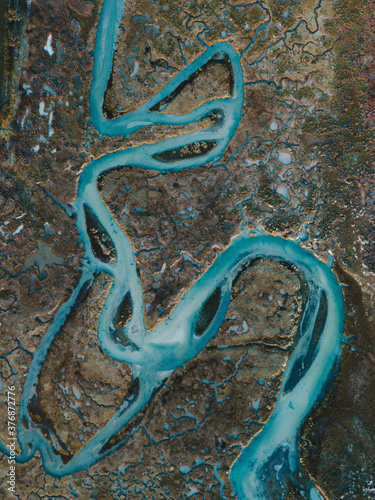 Serpent des mers - Sea snake