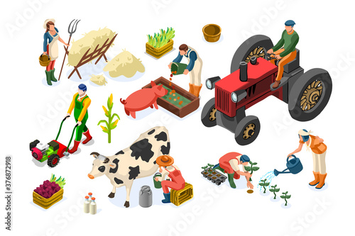 Farm worker production on planting or animals. Working organic farmer on tractor  agricultural people and fruits. Women on garden work harvest garden fruit. Agricultural worker farmer working on plant