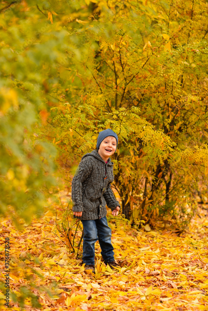 Child in yellow and gold autumn forest. Boy walk on leafs in fall park. Family walk outdoor. Friendly relationship in family. Cozy and warm knitted sweater