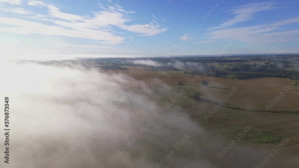 Trees In Agricultural Fields Surrounded By Morning Fog. Aerial Dolly Out Trees In Agricultural Fields Surrounded By Morning Fog. Aerial Dolly Out