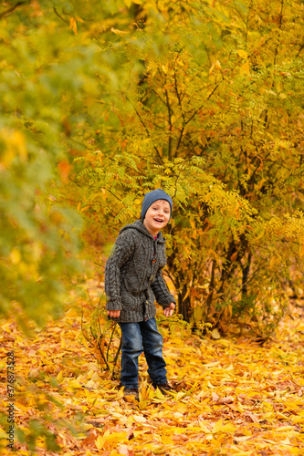 Child in yellow and gold autumn forest. Boy walk on leafs in fall park. Family walk outdoor. Friendly relationship in family. Cozy and warm knitted sweater © Марина Андрейченко
