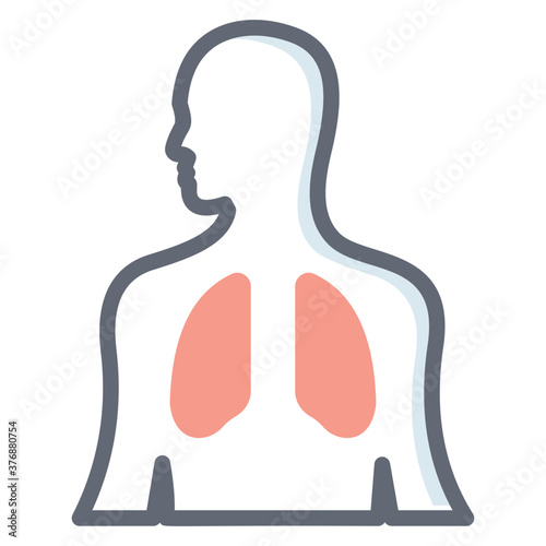 Respiratory System 