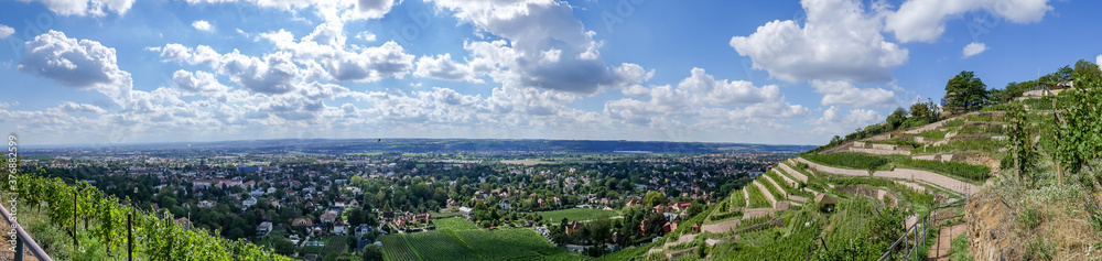 Panoramablick über die sächsischen Weinberge