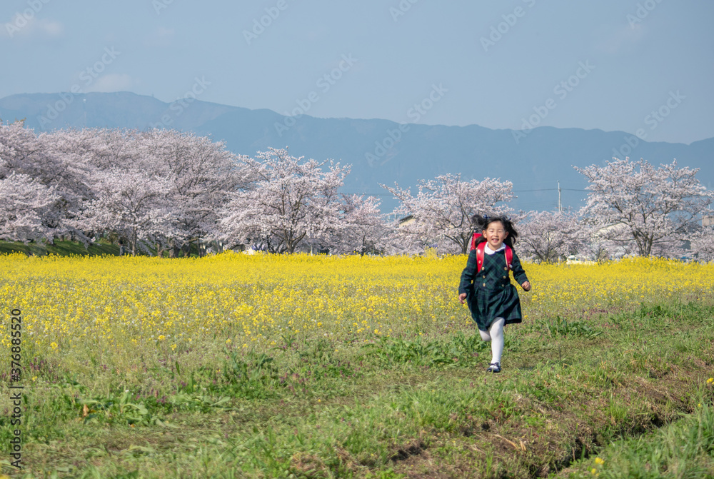 新一年生 新一年生