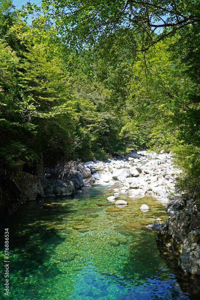 Obraz premium 夏の阿寺渓谷