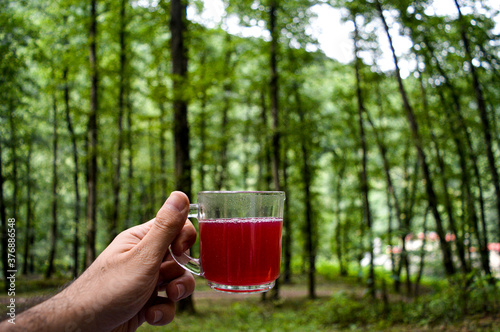 Fototapeta Naklejka Na Ścianę i Meble -  A cup of cherry tea down in forest.

