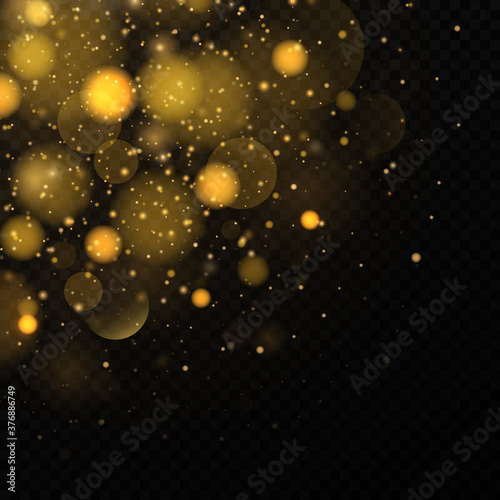 Sparkling magical colorful lights bokeh, dust particles. The dust sparks and golden stars shine with special light on a black transparent background. Golden shiny light effect. Vector sparkles. © Sunlight_007