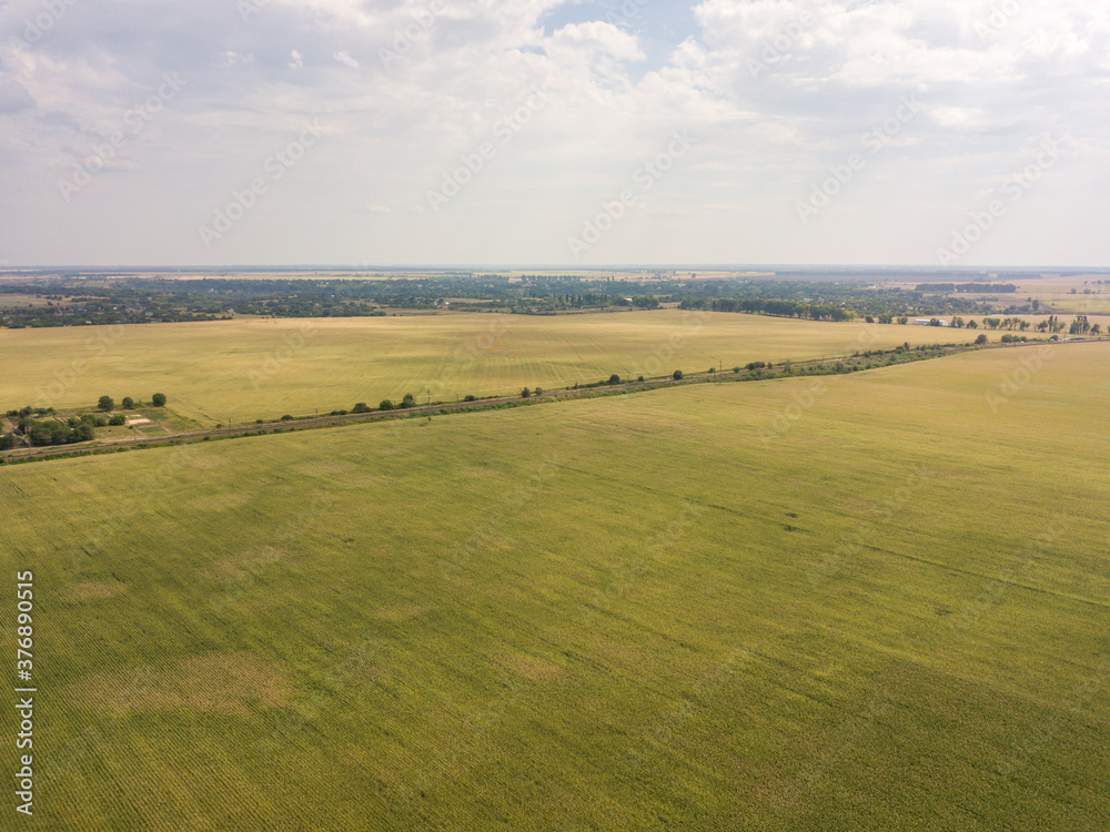 Naklejka premium Aerial drone view. Autumn agricultural fields in Ukraine.