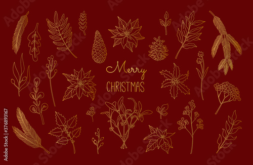 Set of Christmas, New Year plants, poinsettia, pine, mistletoe, holly berry, laurel in gold colors. Hand drawn floral collection. Vector illustration in doodle style isolated on red background. 