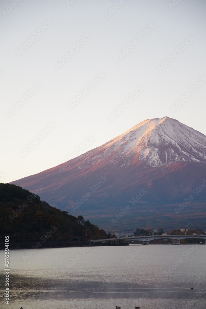 秋の朝日を浴びる富士山