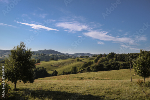 Field with green grass and blue sky
