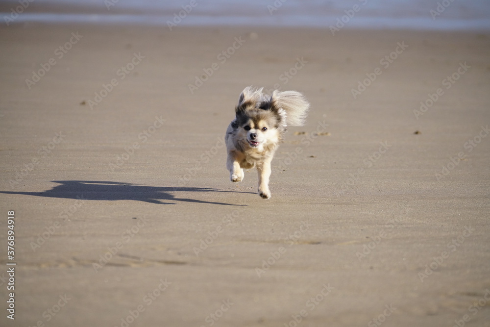 Fototapeta premium Ramsey Beach Isle Of Man