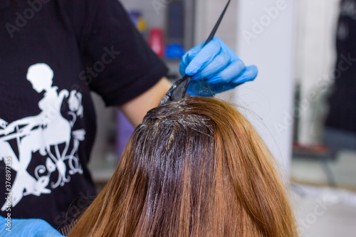 hairdresser at work, young hairdresser dyes the client's hair