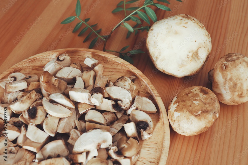 Mushroom Mushroom