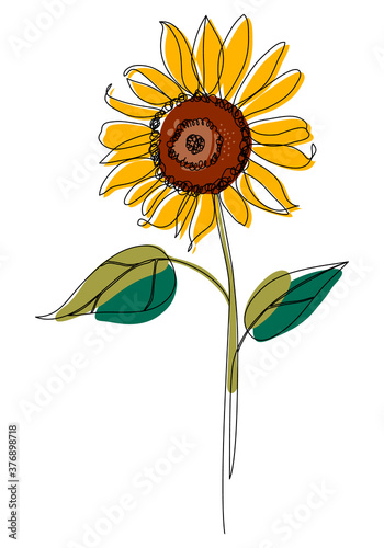 Sunflower line art. Minimalist contour drawing. One line artwork