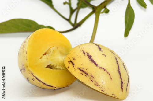 Birnenmelone Pepino Solanum muricatum freigestellt auf weißem Hintergrund