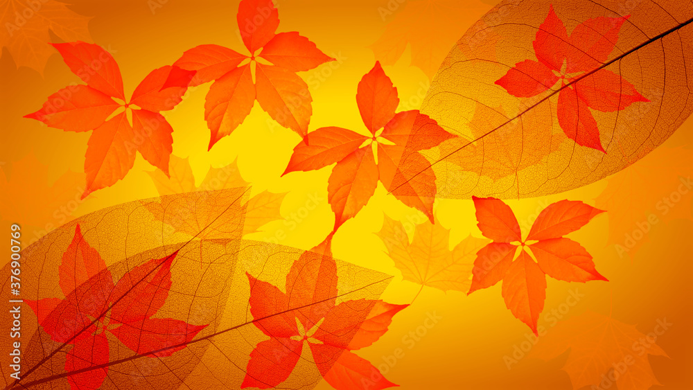 Abstract texture with autumn yellow leaves. Background	