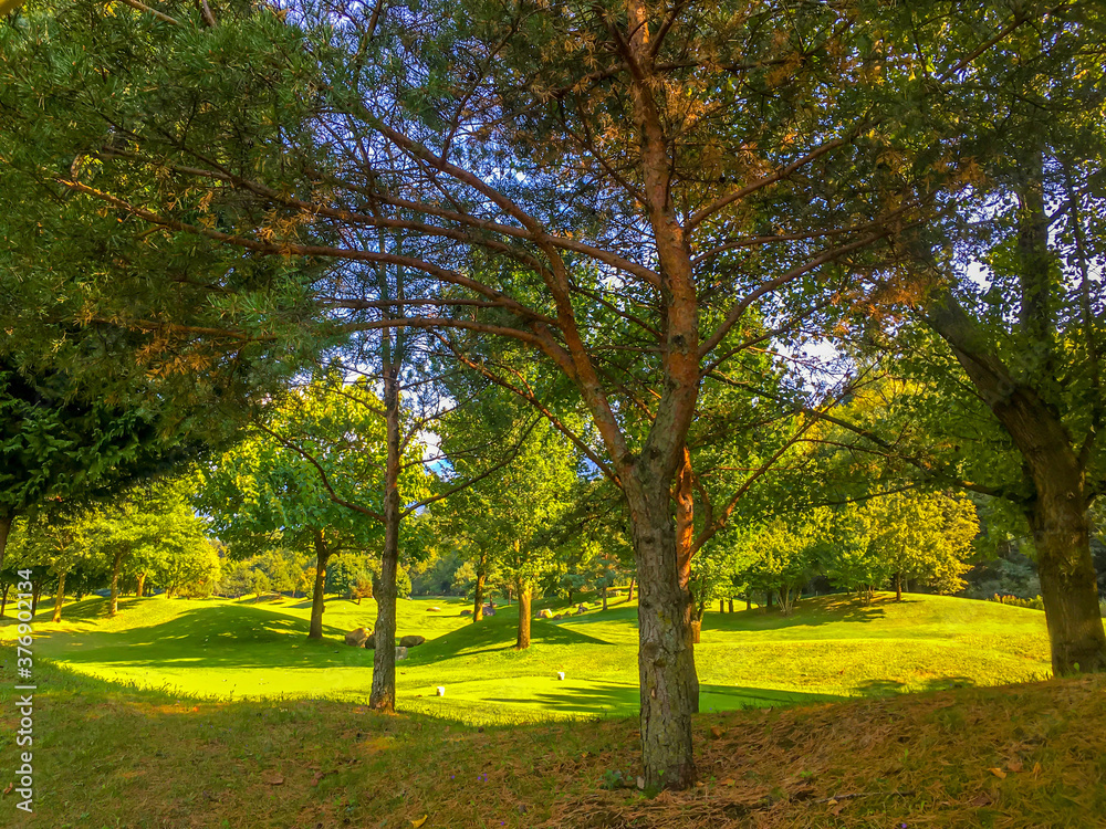 Naklejka premium Golf Course in the Forest in Switzerland.