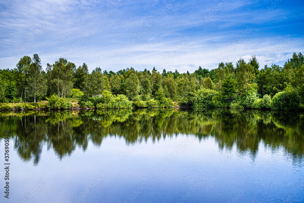 Beautiful bright forest lake in summer